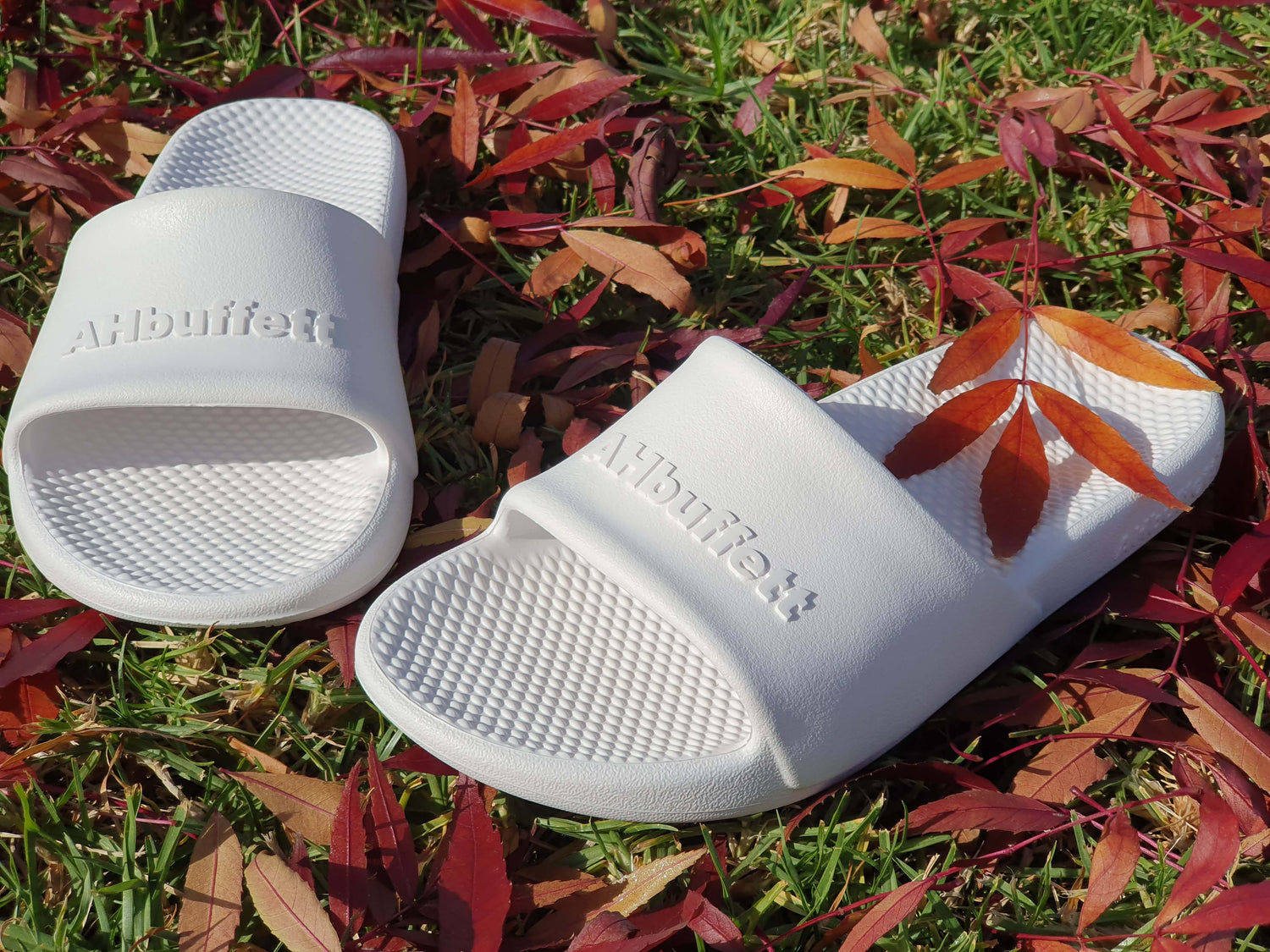 Slip resistant slides Australia.