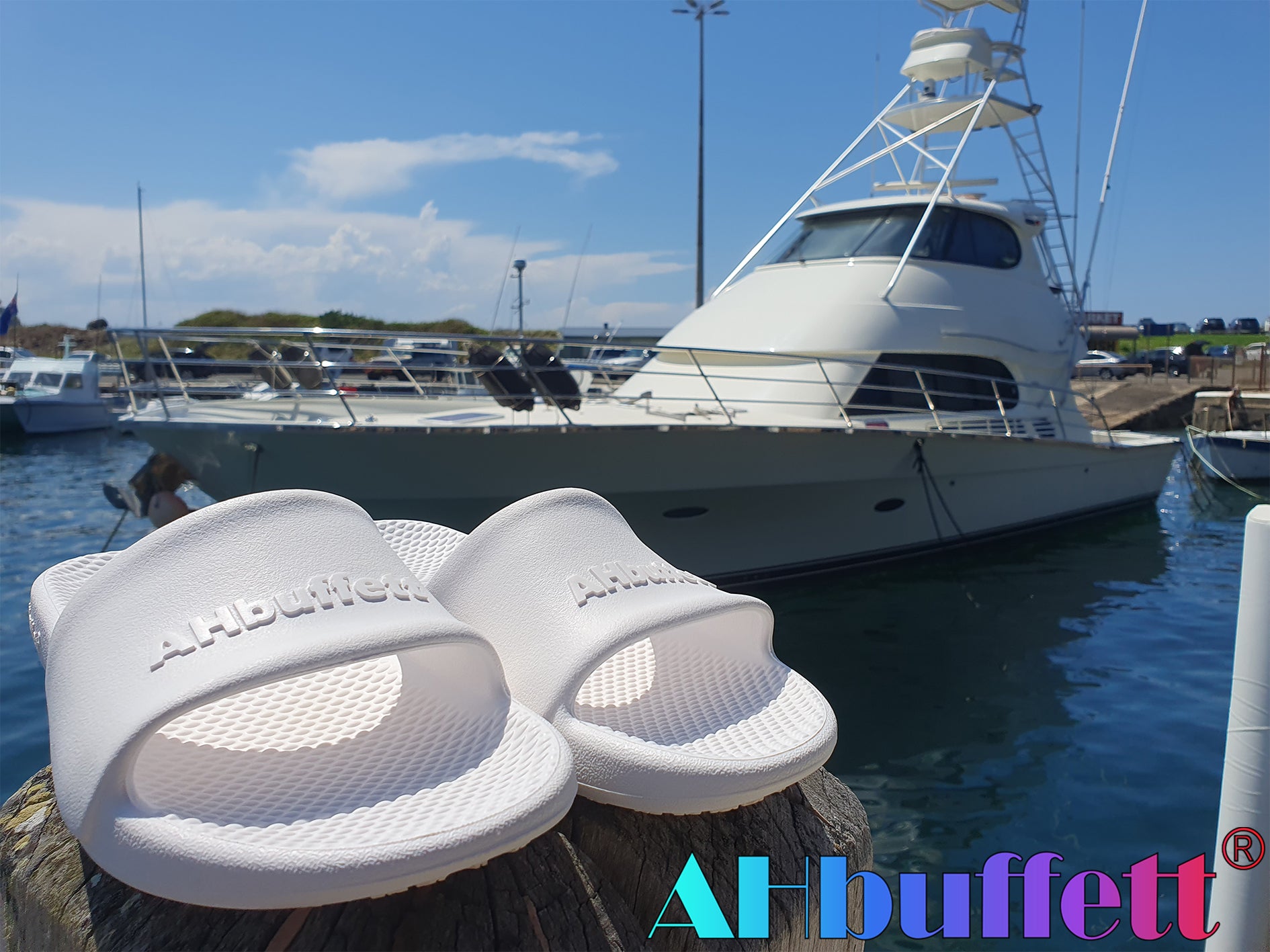 White slip resistant non-marking slides in front of a large white boat in a harbour.